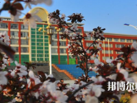 安徽2020年幼師學校職業學校哪家好