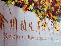 徐州幼兒師范高等?？茖W校有哪些專業(yè)