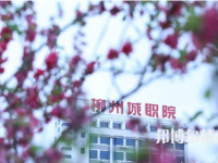 柳州城市職業師范學院2023年怎么樣、好不好