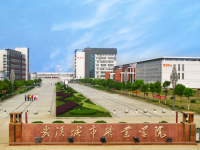 武漢城市職業(yè)師范學院2023年招生計劃