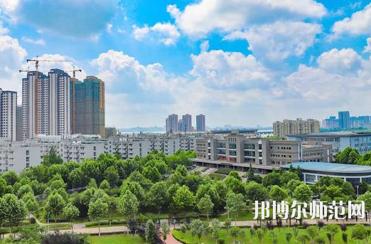 武漢城市職業師范學院4