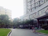 東華大學師范學院延安路校區2023年有哪些專業