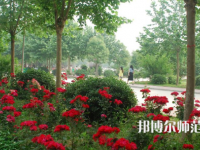 河南科技職業(yè)師范大學(xué)2023年報(bào)名條件、招生要求、招生對(duì)象