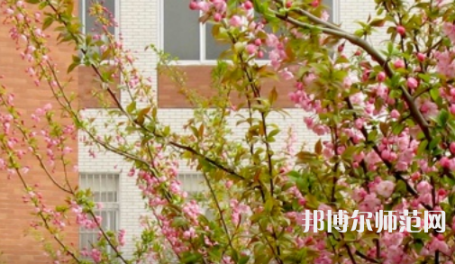 鄭州大學師范學院南校區2023年有哪些專業