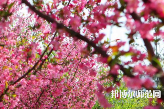 鄭州大學師范學院主校區2023年報名條件、招生要求、招生對象