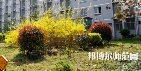 周口職業技術師范學院開元校區2023年招生計劃