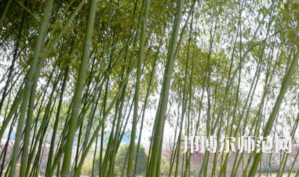 周口職業(yè)技術(shù)師范學(xué)院開元校區(qū)2023年報(bào)名條件、招生要求、招生對(duì)象