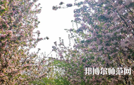 鶴壁職業技術師范學院2023年有哪些專業