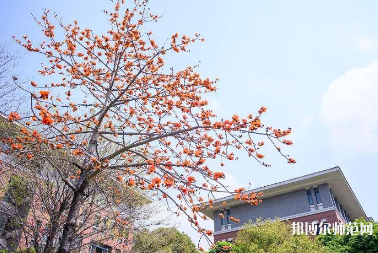 中山大學新華師范學院東莞校區2023年地址在哪里