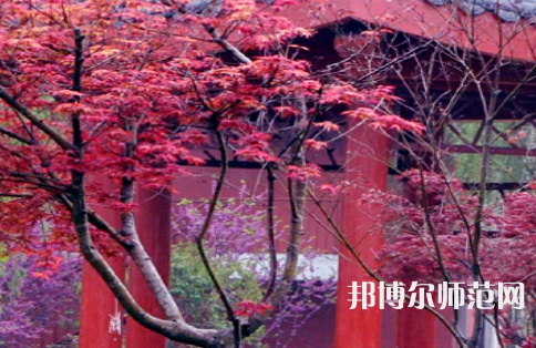 駐馬店師范職業技術學院2023年怎么樣、好不好