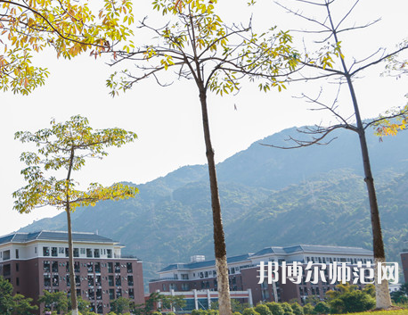 福建師范大學協和學院2023年有哪些專業