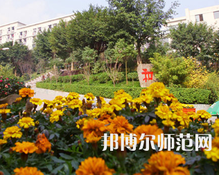 2023年招生辦聯系電話