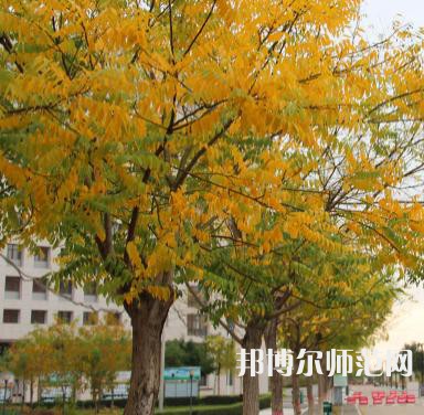 寶塔區幼師職業教育中心2023年招生簡章