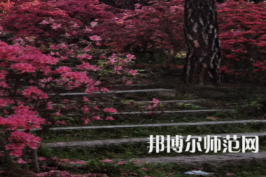 信陽師范學(xué)院華銳學(xué)院2023年報(bào)名條件、招生要求、招生對象