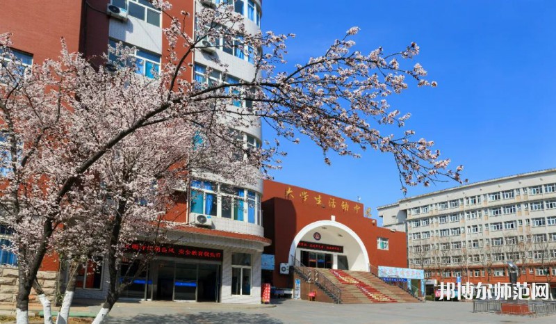 山東英才師范學院北校區2023年怎么樣、好不好 