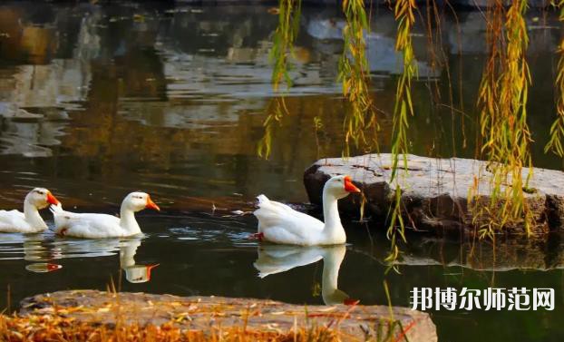 山東財(cái)經(jīng)師范大學(xué)萊蕪校區(qū)2023年報(bào)名條件、招生要求、招生對(duì)象 