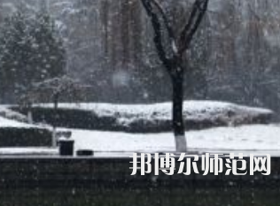 焦作師范高等專科學校2023年招生代碼