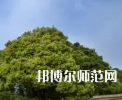 湖南理工師范學院南湖學院2023年有哪些專業