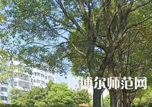 湖南理工師范學院南湖學院2023年有哪些專業