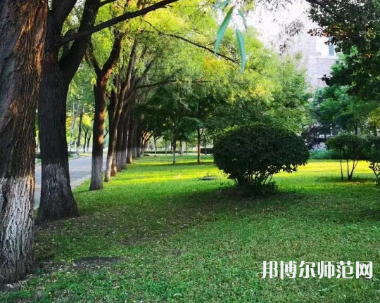 遼寧大學師范學院武圣校區2023年地址在哪里