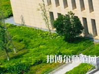 長沙學院師范學院2023年有哪些專業