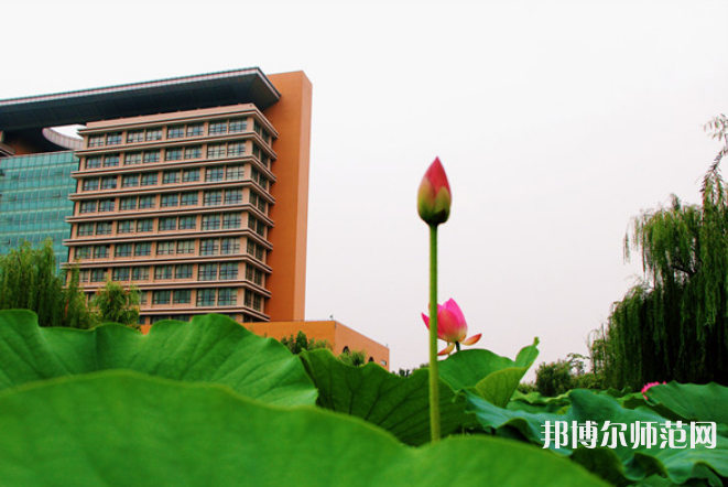 東營職業師范學院2023年招生辦聯系電話 