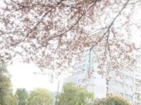 南華師范大學雨母校區2023年有哪些專業
