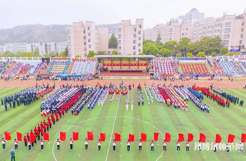 青島科技師范大學高密校區2023年招生代碼 