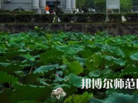 南華師范大學(xué)紅湘校區(qū)2023年報(bào)名條件、招生要求、招生對象