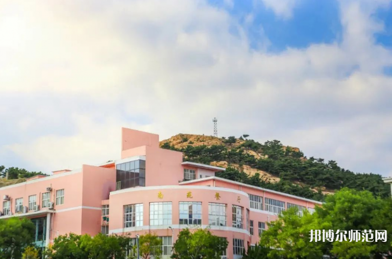 青島科技師范大學高密校區2023年招生錄取分數線