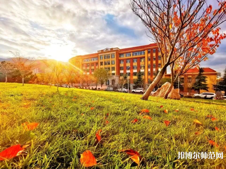 青島科技師范大學四方校區2023年招生計劃 