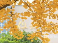 咸陽職業技術師范學院2023年招生計劃