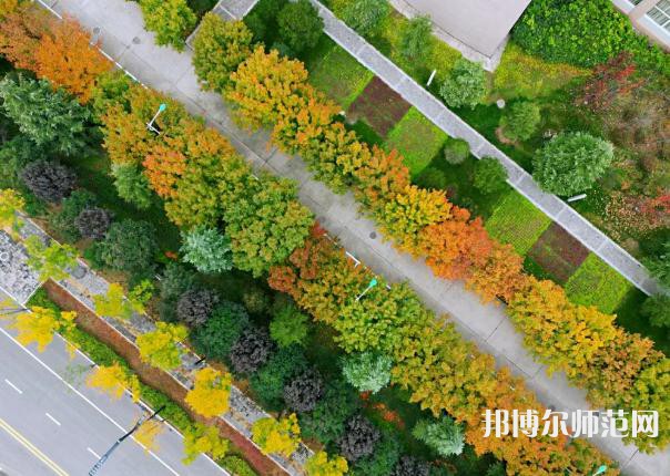 咸陽職業技術師范學院2023年招生代碼