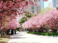 中國礦業師范大學徐海學院2023年有哪些專業