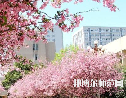 中國礦業(yè)師范大學(xué)徐海學(xué)院2023年報名條件、招生要求、招生對象