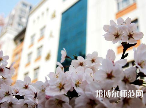 中國礦業師范大學徐海學院2023年招生計劃