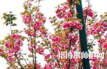 長沙理工師范大學金盆嶺校區2023年招生計劃