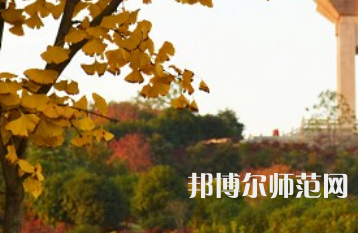 長沙理工師范大學金盆嶺校區2023年有哪些專業