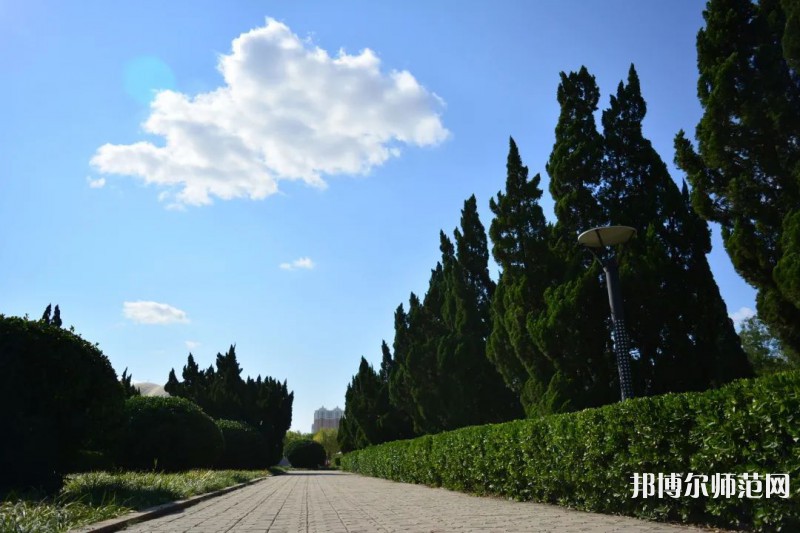 山東石油化工師范學(xué)院2023年報(bào)名條件、招生要求、招生對(duì)象 