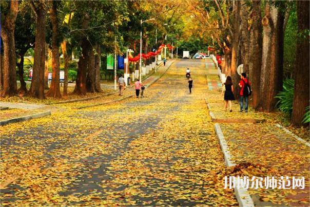 海南大學(xué)師范學(xué)院海甸校區(qū)2023年報(bào)名條件、招生要求、招生對(duì)象 