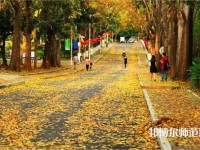 海南大學師范學院海甸校區2023年報名條件、招生要求、招生對象