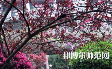 湖南第一師范學院東方紅校區2023年有哪些專業