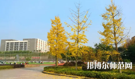 重慶幼兒師范高等專科學校梨園校區2023年是幾本
