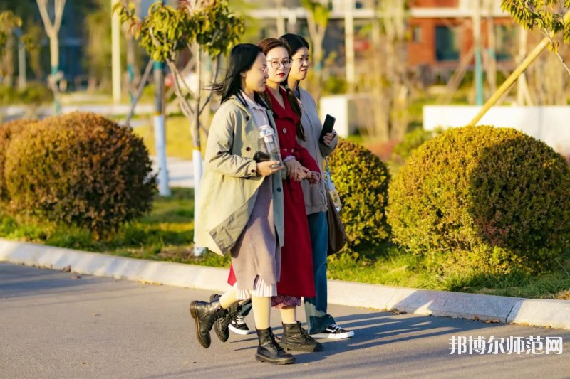 濰坊理工師范學院2023年網站網址   