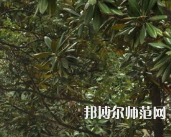 湖南師范大學(xué)樹(shù)達(dá)學(xué)院2023年學(xué)費(fèi)、收費(fèi)多少