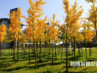 瀘州幼師職業(yè)技術(shù)學(xué)校2023年學(xué)費、收費多少