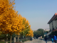 西北師范大學2023年怎么樣、好不好