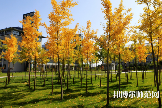 瀘州啟明幼師職業(yè)技術(shù)學(xué)校2023年報名條件、招生要求、招生對象