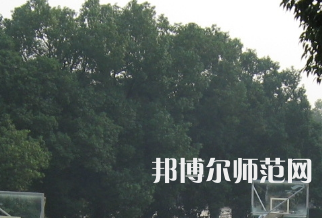 湖南師范大學(xué)樹達學(xué)院2023年招生代碼