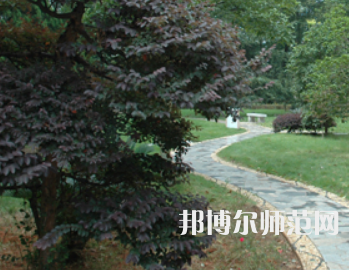 湖南師范大學(xué)樹達學(xué)院2023年招生代碼